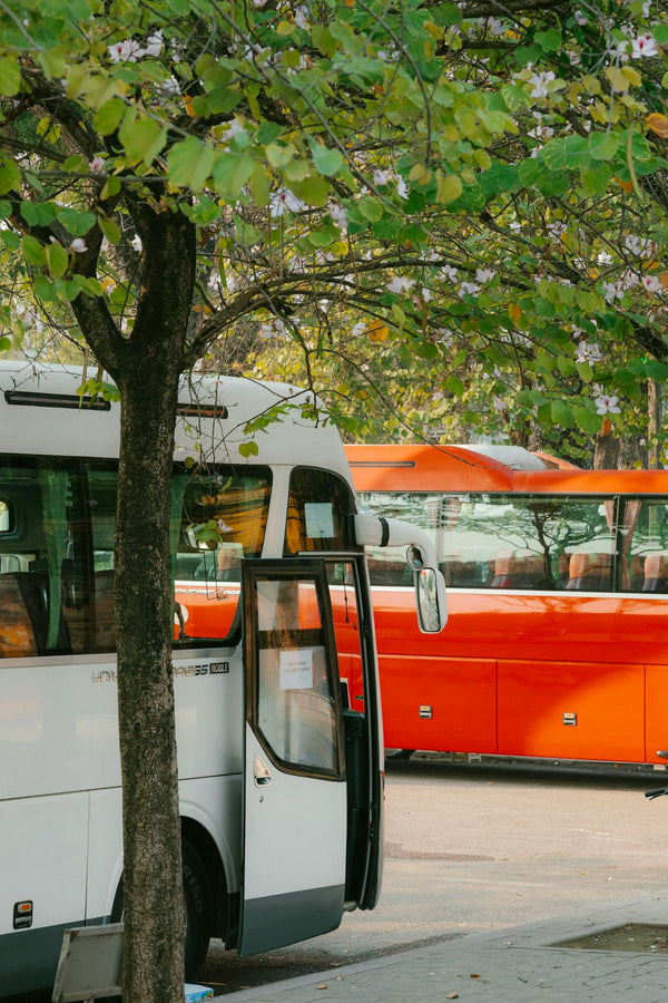 Are Electric Scooters Allowed on Buses?