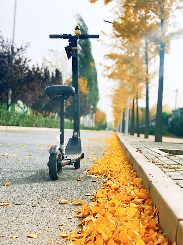 Can you ride an electric scooter on the road?