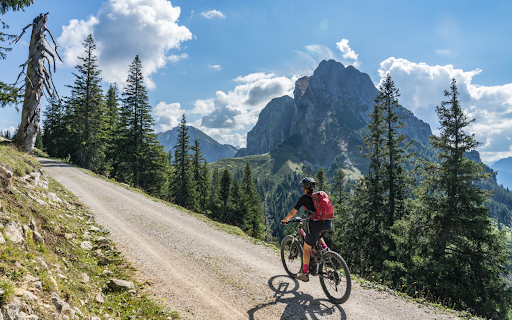 How Do Electric Mountain Bikes Work?